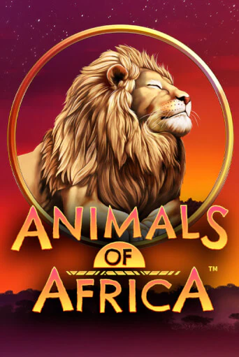 Animals of Africa ™ онлайн игра бесплатно | Вулкан Победа без регистрации